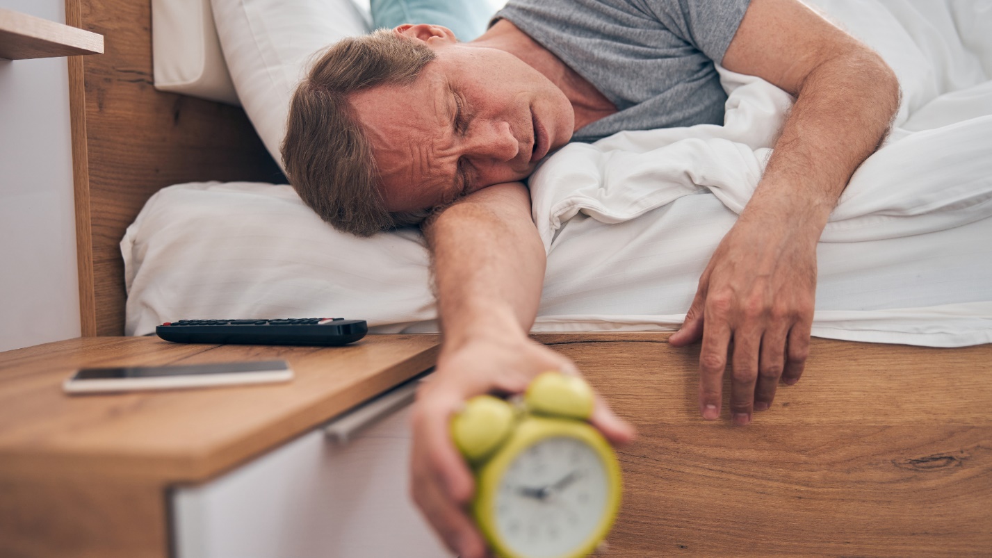 낮의 리듬이 만드는 밤의 균형